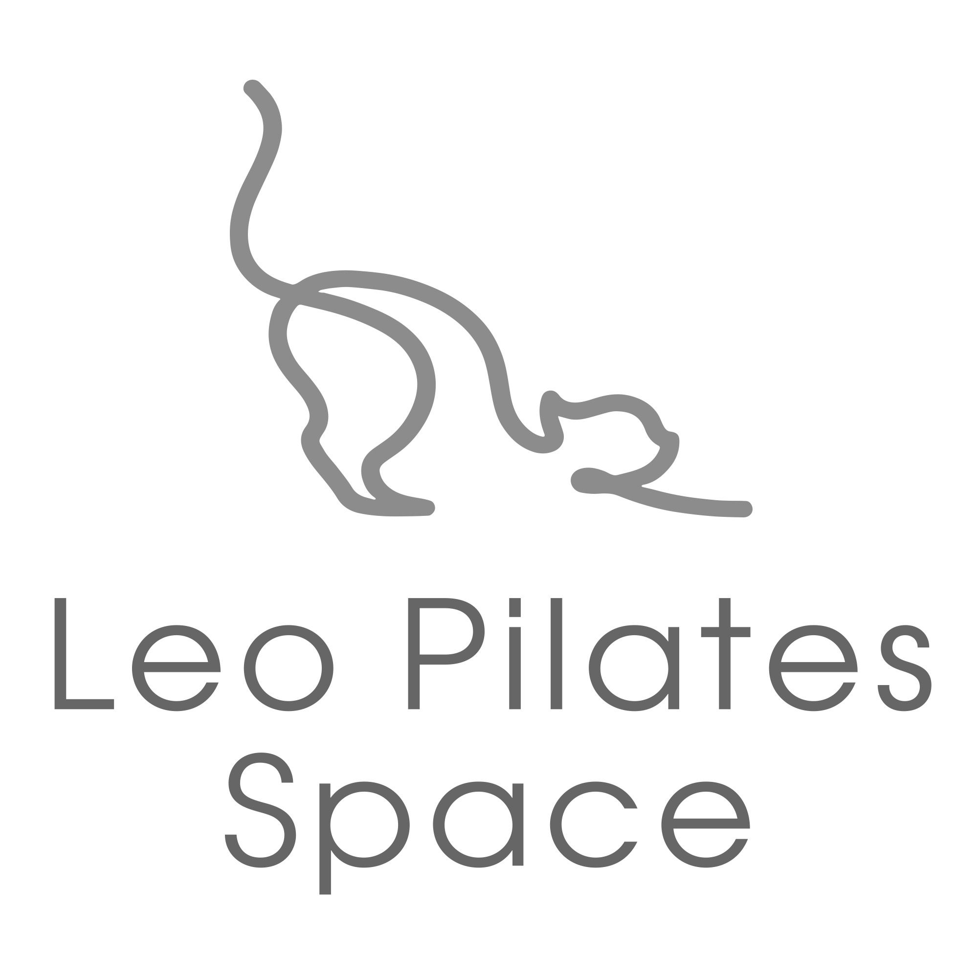 Leo Pilates Space